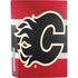 NHL Calgary Flames Jersey PS5 Bundle Skin