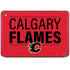 NHL Calgary Flames Lineup HP Chromebook Skin