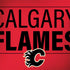NHL Calgary Flames Lineup Notebook 9 Pro 13in (2017) Skin