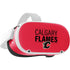 NHL Calgary Flames Lineup Oculus Quest 2 Skin