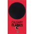 NHL Calgary Flames Lineup Xbox Series S Skins