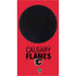 NHL Calgary Flames Lineup Xbox Series S Console Skin