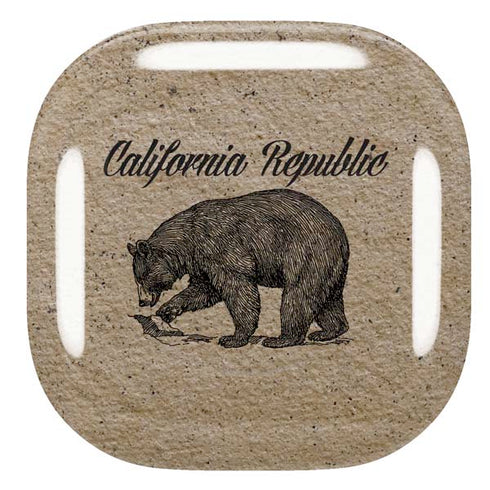 Cali Republic Vintage Galaxy Buds Pro Skin
