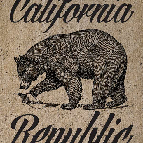 Cali Republic Vintage iPhone XR Skin