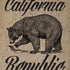 Cali Republic Vintage iPhone XR Skin