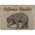 Cali Republic Vintage Surface Pro 8 Skin