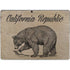 Cali Republic Vintage Surface Pro 9 Skin