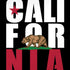 California Black Block iPhone XR Skin
