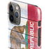 California Flag Light Wood iPhone 11 Pro Lite Case