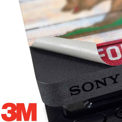 California Flag Light Wood PS4 Pro Bundle Skin