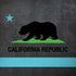 California Neon Republic iPhone X Pro Case