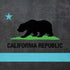 California Neon Republic iPhone XR Pro Case