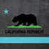 California Neon Republic iPhone XR Skin