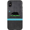 California Neon Republic iPhone XS Pro Case