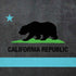 California Neon Republic iPhone XS Skin
