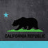 California Neon Republic PS4 Console Skin
