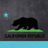 California Neon Republic PS4 Pro/Slim Controller Skin