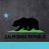 California Neon Republic PS4 Slim Bundle Skin