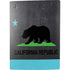 California Neon Republic PS5 Digital Edition Console Skin