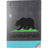 California Neon Republic PS5 Digital Edition Console Skin
