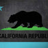 California Neon Republic Surface Book 2 13.5in Skin