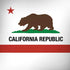 California Republic iPhone X Pro Case