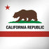 California Republic iPhone X Skin