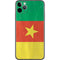 Cameroon Flag Distressed iPhone 11 Pro Max Skin