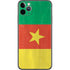 Cameroon Flag Distressed iPhone 11 Pro Max Skin