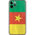 Cameroon Flag Distressed iPhone 11 Pro Skin
