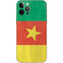 Cameroon Flag Distressed iPhone 12 Pro Skin