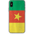 Cameroon Flag Distressed iPhone XS Max Skin