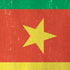 Cameroon Flag Distressed iPhone XS Skin