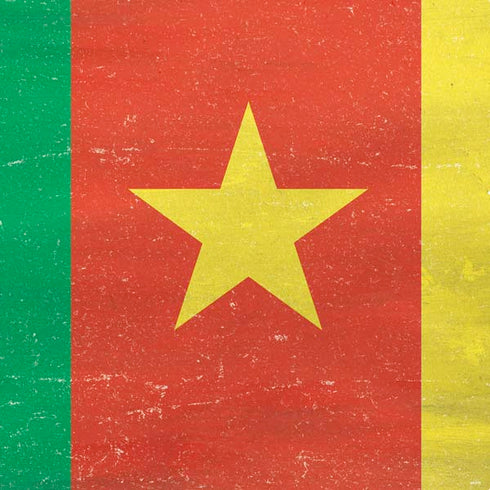 Cameroon Flag Distressed PS4 Console Skin
