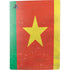 Cameroon Flag Distressed PS5 Digital Edition Bundle Skin