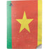 Cameroon Flag Distressed PS5 Digital Edition Console Skin