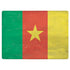 Cameroon Flag Distressed Surface Laptop 2 Skin