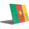 Cameroon Flag Distressed Surface Laptop Studio Skin