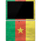 Cameroon Flag Distressed Surface Pro 7 Skin