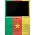 Cameroon Flag Distressed Surface Pro 7 Skin