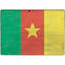 Cameroon Flag Distressed Surface Pro 8 Skin