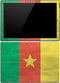 Cameroon Flag Distressed Surface Pro (2017) Skin
