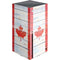 Canada Flag Light Wood Xbox Series X Console Skin