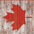 Canadian Flag Dark Wood Nintendo 2DS XL (2017) Skin