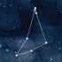 Capricorn Constellation iPhone XR Skin