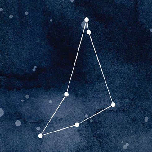 Capricorn Constellation iPhone XS Skin