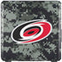 NHL Carolina Hurricanes Camo Cooler Master MasterBox Q300L Mini Tower Skin