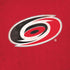 NHL Carolina Hurricanes Distressed iPhone XS Skin