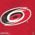 NHL Carolina Hurricanes Distressed PS4 Console and Controller Bundle Skin