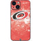 NHL Carolina Hurricanes Frozen iPhone 13 Mini Skin